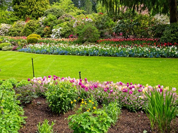 Residential Landscape Design - Residential Landscape Design Cincinnati, Ohio