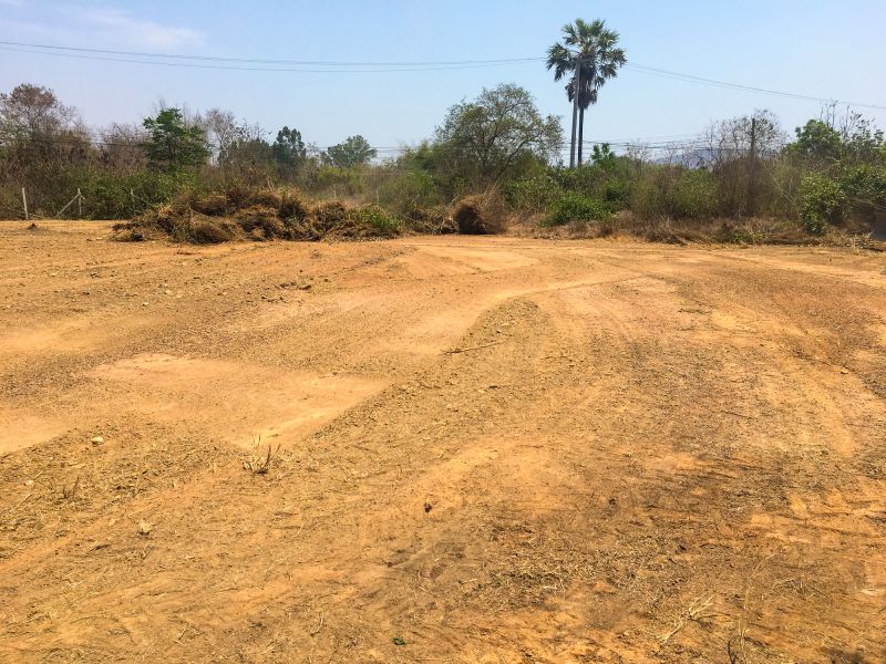 Landscaping And Grading