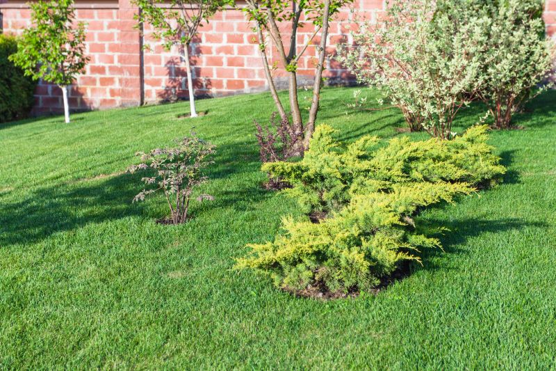 Landscaping And Grading