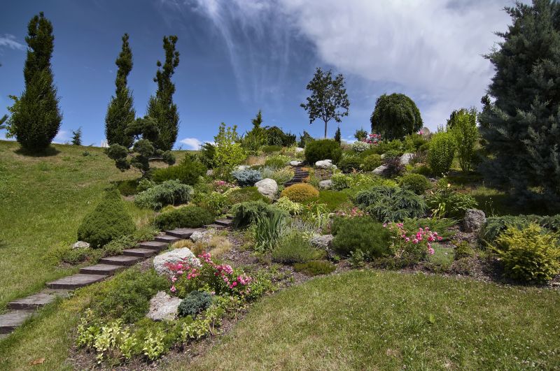 Landscaping And Grading