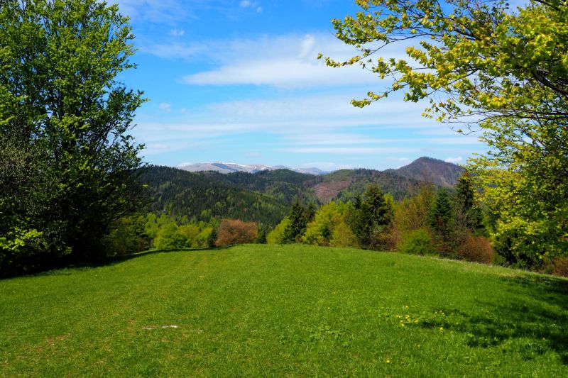 Landscaping And Grading